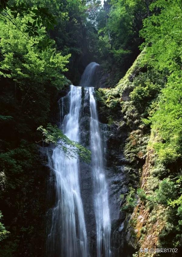 黄杰、王海明、 陈明磊任山东省疾病预防控制局副局长